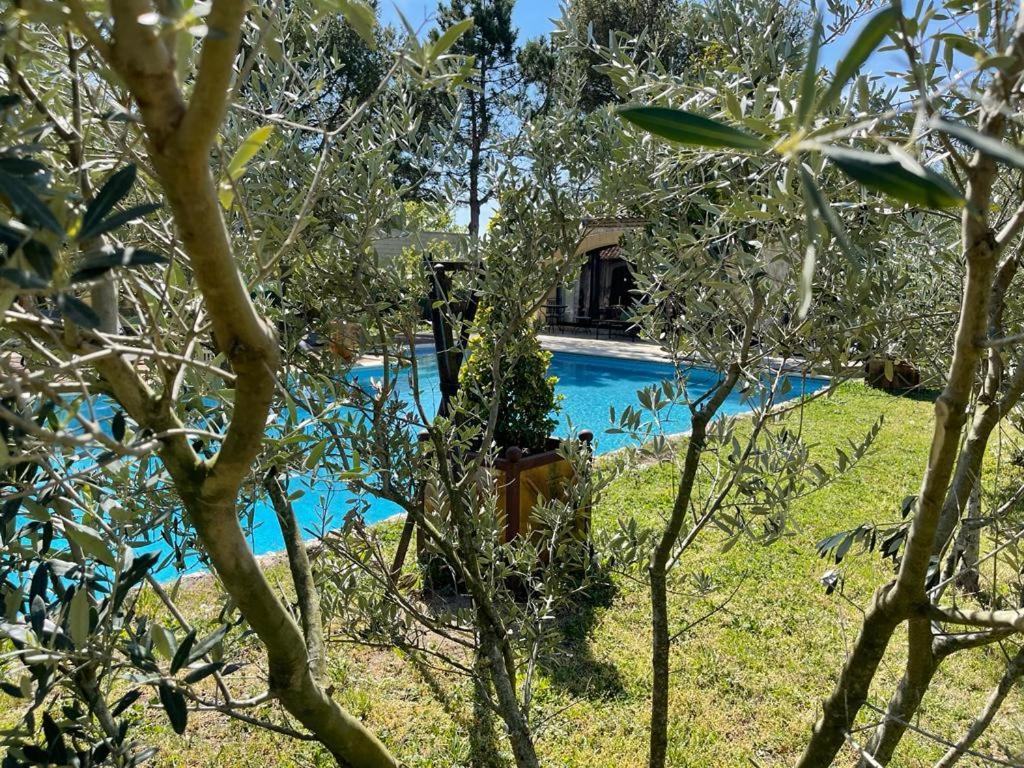 Gite Au Coeur De La Provence & Spa Saint-Cannat Kültér fotó