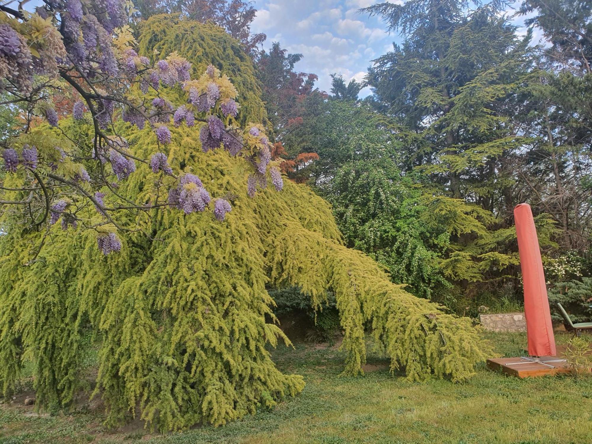 Gite Au Coeur De La Provence & Spa Saint-Cannat Kültér fotó